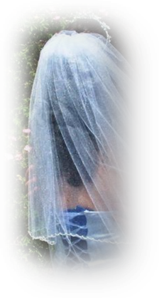 Ribbonandlace_image006.png