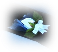 DSCF0140.JPG