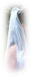 veil.jpg